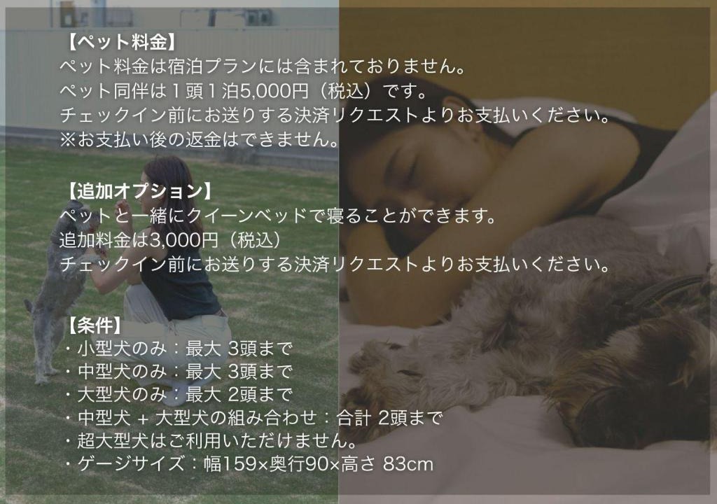 Ochi-gun Villa | sante 4073 STAY & SAUNA HAKATA ISLAND #1 AROZU