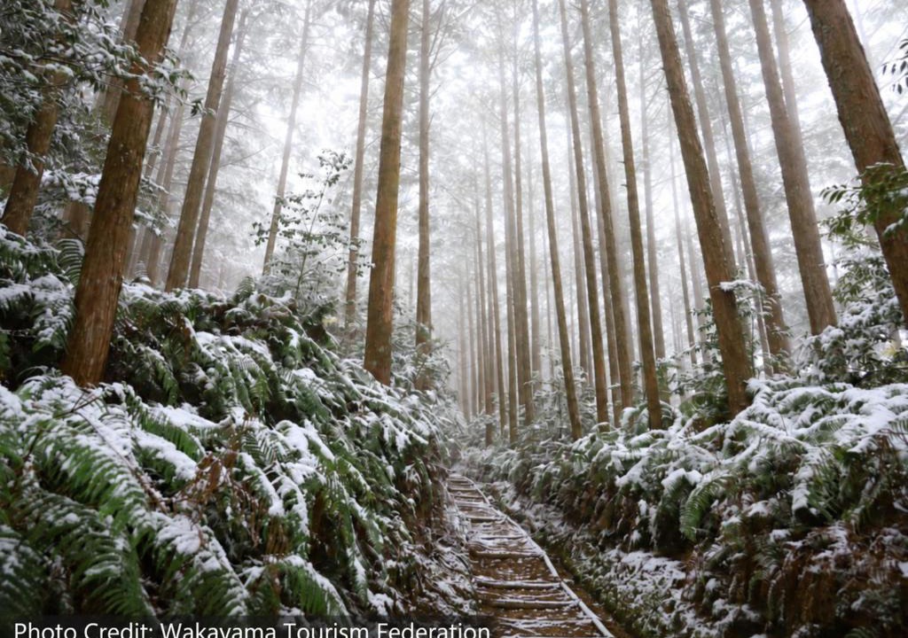 Nakahechi House | SEN RETREAT TAKAHARA - Kumano Kodo Gateway