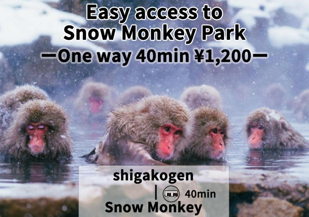 Shiga Highlands Hotel | Shiga Swiss Inn