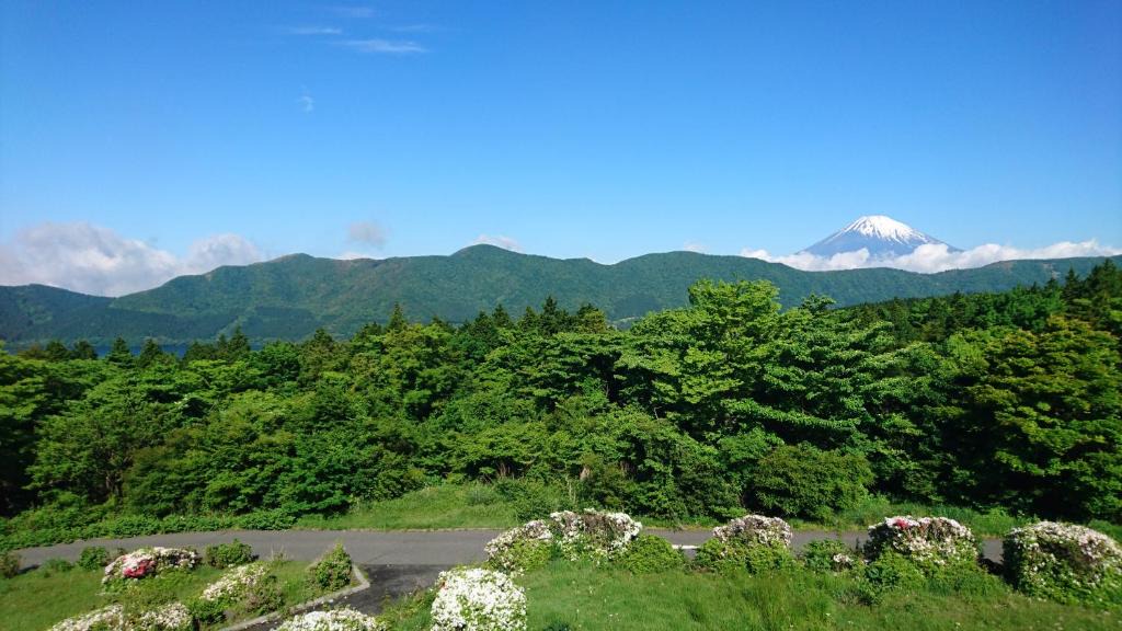 Hakone Hotel | Shiki Resort Hakone Style
