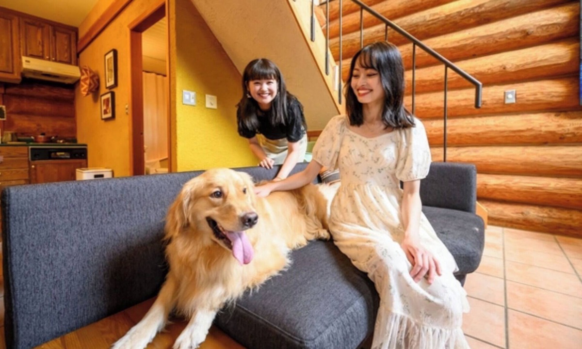 Shima Hotel | Staying with pets allowed 4 beds pet fee 2000 y/Shima Mie