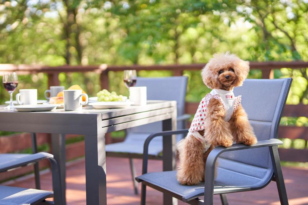 Nasu House | Suite Villa Nasukogen Doggy's Ohana