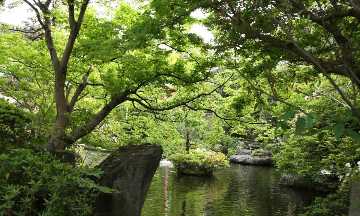 Asakura House | Taisenkaku