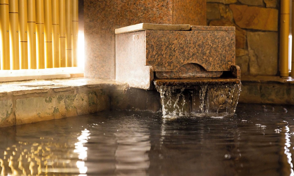 Oita Hotel | Tennen Onsen Ariston Hotel Oita