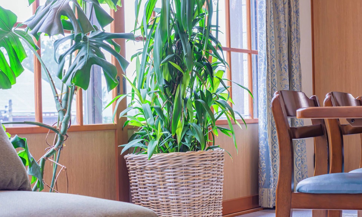 Iida Apartment | The Snowfront Apartment Nabe Sun -HAKUBA GORYU-