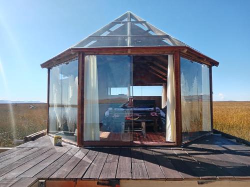 Puno House | Titicaca puma