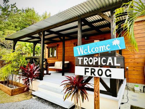 Nakama House | Tropical Frog