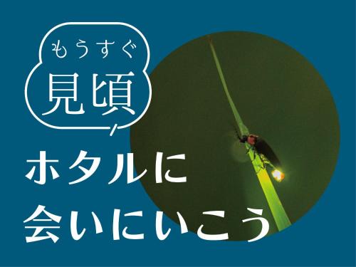 Ukiha House | Ukiha Kojio no Akari
