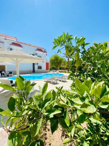 Village Road Villa | Villa 6