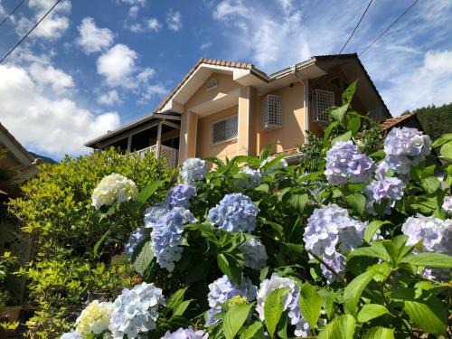 Fujikawaguchiko Villa | Villa Relax