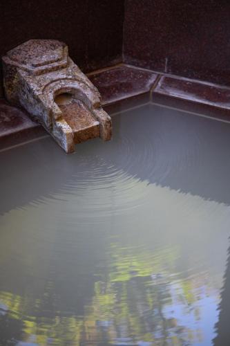 Gora Villa | Villa Tombo Hakone