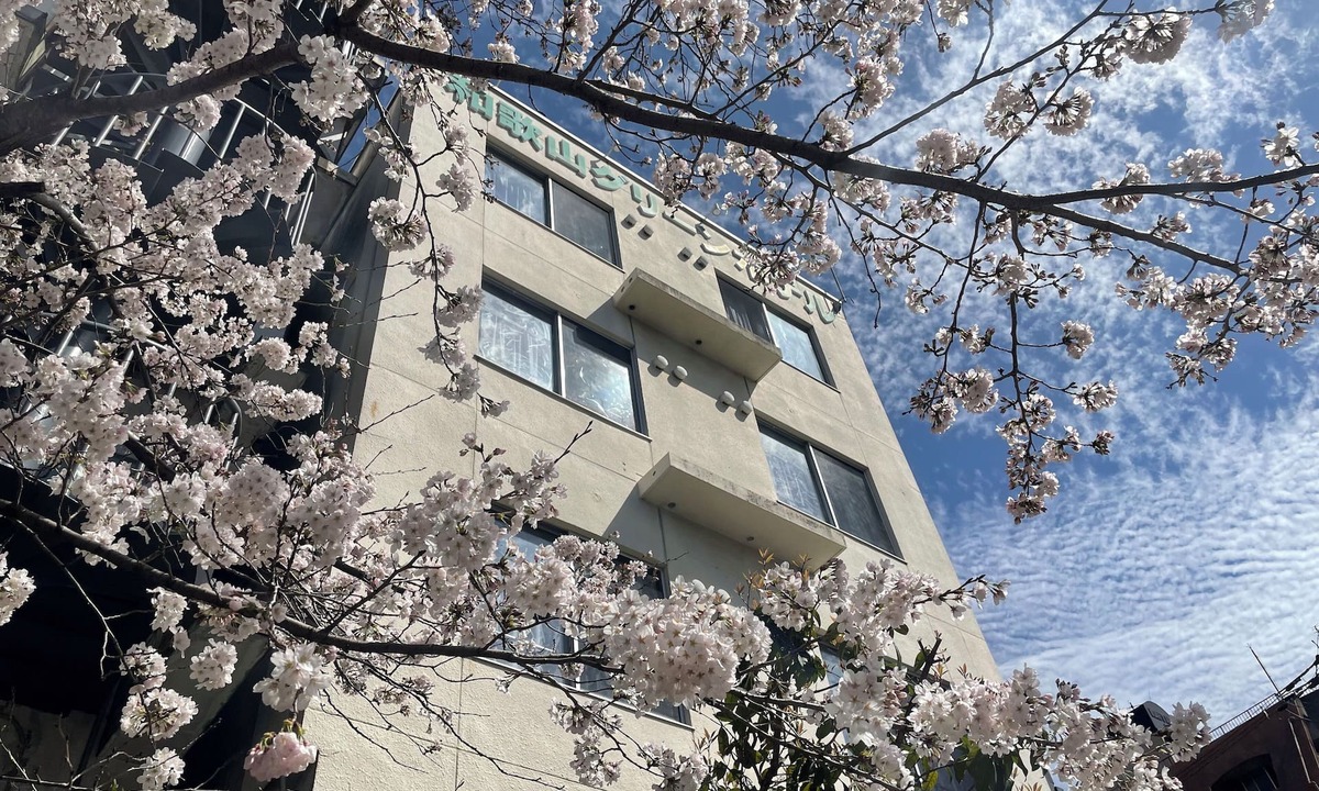 Wakayama Hotel | Wakayama Green Hotel