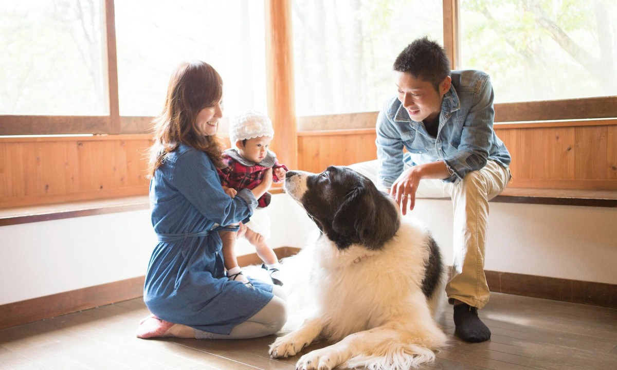 Tateshina Cottage | Wan WanParadise Tateshina