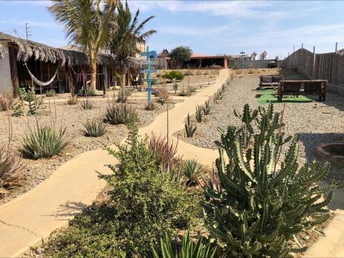 Lobitos Hotel | Wayra