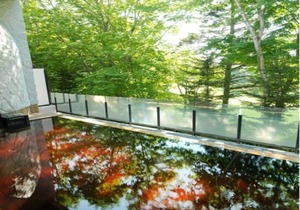 47 m² Hotel ∙ 1 bedroom ∙ 3 guests in Nakanosawa