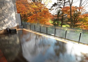 47 m² Hotel ∙ 1 bedroom ∙ 3 guests in Nakanosawa