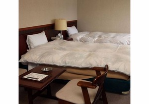 Akisawa Hotel in 6 Saiwaicho