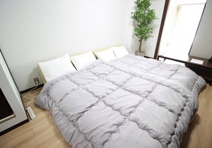 Apartment in Osaka MN-203 in Osaka
