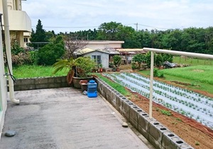 Kunigami-gun - House / Vacation STAY 6126