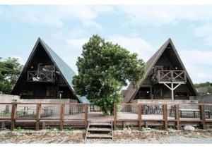 Login Okinawa -Wood-