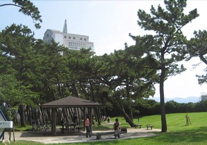 Minato Oasis Numazu in Numazu