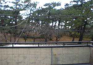 Minato Oasis Numazu in Numazu