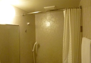 OK for business and sightseeing until the day St/Naha Okinawa in Naha