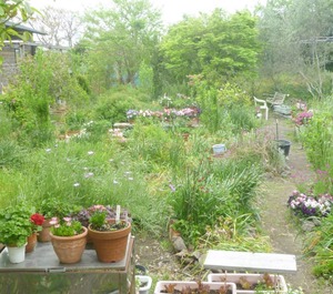 Pension Flora 