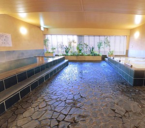 Hotel Okayama 