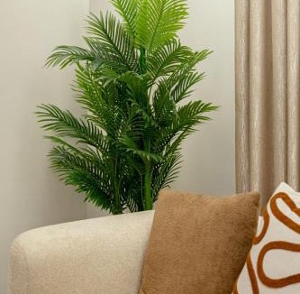 Nasr City Apartment | شقه فندقيه vip القاهره مدينه نصر شارع جمال الدين دويدار