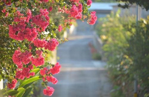Kabira House | イリワ -stay&coffee iriwa-