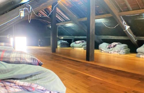 Matsuzaki Hostel | ゲストハウス大安吉田