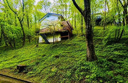 Nasu House | チェックアウトは11時コテージそら豆ん家