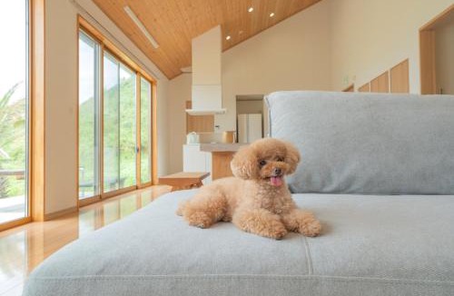 Tateyama Villa | ドギーズ 館山 布良海岸 by GIFTHOUSE