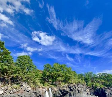 Yawatano Hostel | ドックランが有る素泊まりのお宿ワンダフル