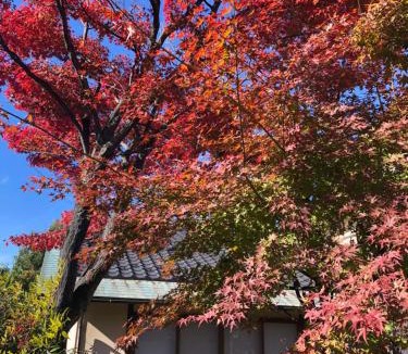 Isawa Onsen House | フクロウの御宿 1館 石和館