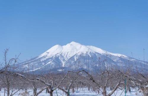 Hirosaki House | フラワーガーデンミミ お花屋が営む一棟貸し宿