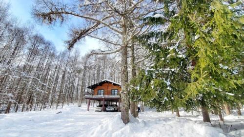 Nagano Ski Chalet | 一棟貸切 自然を満喫 戸隠 長野観光 Modern Forest Chalet Togakushi Nagano