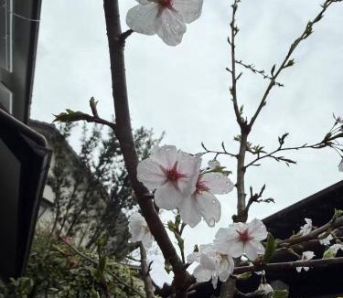 Higashiyama Villa | 京都東福寺 逸苑
