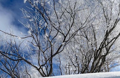 Nakajimakoen Apartment | 今年新規OP 最大9人 すすきのエリア 札幌観光に抜群の立地 空港直通バス停すぐ 高速Wi-Fi完備