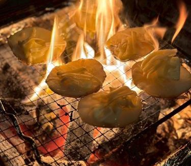Otaki Bed & Breakfast | 大多喜BBQ Terraceカミタキ