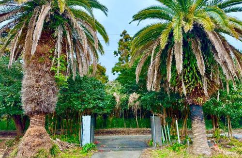 Oshima Villa | 大島ニュービラサルビア