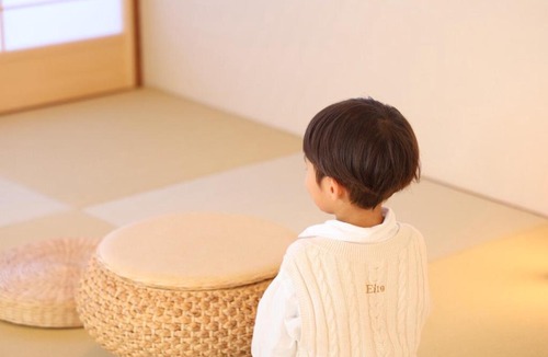 Fuji Apartment | 富士の星 横割レジデンス