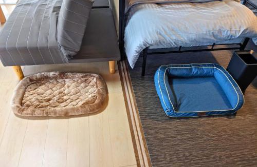 Kamiita House | 徳島のペットと泊まれる付き貸し切り一軒家