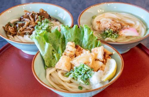 Miyawaki Cho Hotel | 旅館御宿Tabist Ritsurinsanso