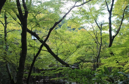 Kita Ward Hotel | 有馬温泉 湯屋の宿 康貴
