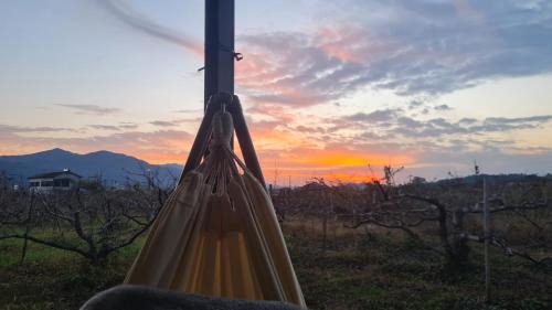 Katsuragi House | 柿畑の宿 Private stay with farm and house all to yourself