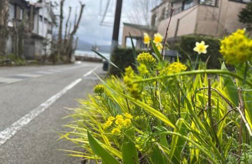Yamanakako Hotel | 民宿 朝富士