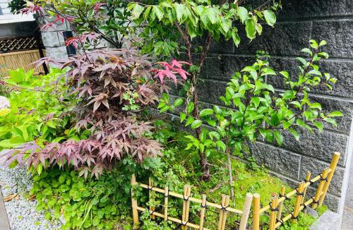 Hamano Cho House | 浜町小院 Guest House
