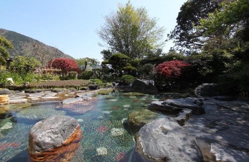 Hakone Hot Springs Hotel | 温泉旅館 湯さか荘